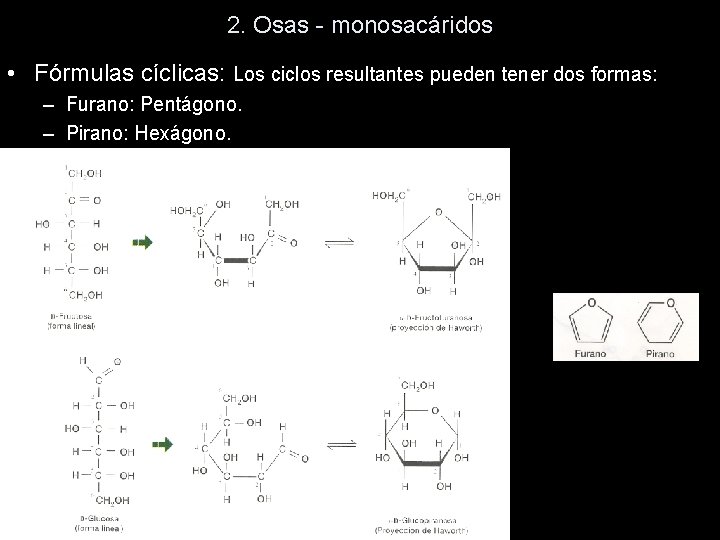 2. Osas - monosacáridos • Fórmulas cíclicas: Los ciclos resultantes pueden tener dos formas: 2. Osas - monosacáridos • Fórmulas cíclicas: Los ciclos resultantes pueden tener dos formas: