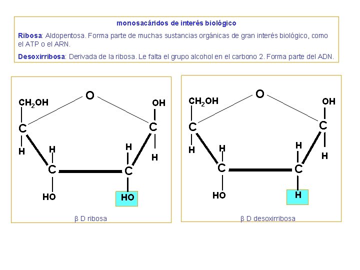 2. Osas - monosacáridos 2. Osas - monosacáridos