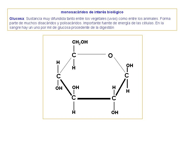 2. Osas - monosacáridos • HEXOSAS. Forman estructuras cíclicas. 2. Osas - monosacáridos • HEXOSAS. Forman estructuras cíclicas.