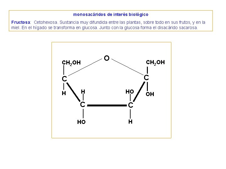 2. Osas - monosacáridos • HEXOSAS. Forman estructuras cíclicas. 2. Osas - monosacáridos • HEXOSAS. Forman estructuras cíclicas.