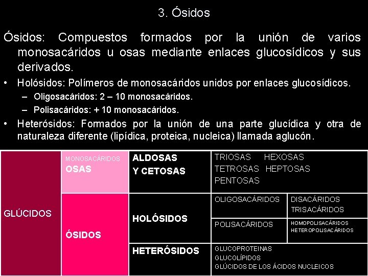 3. Ósidos: Compuestos formados por la unión de varios monosacáridos u osas mediante enlaces 3. Ósidos: Compuestos formados por la unión de varios monosacáridos u osas mediante enlaces