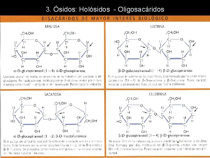 3. Ósidos: Holósidos - Oligosacáridos – Clasificación DISACÁRIDOS: 3. Ósidos: Holósidos - Oligosacáridos – Clasificación DISACÁRIDOS: