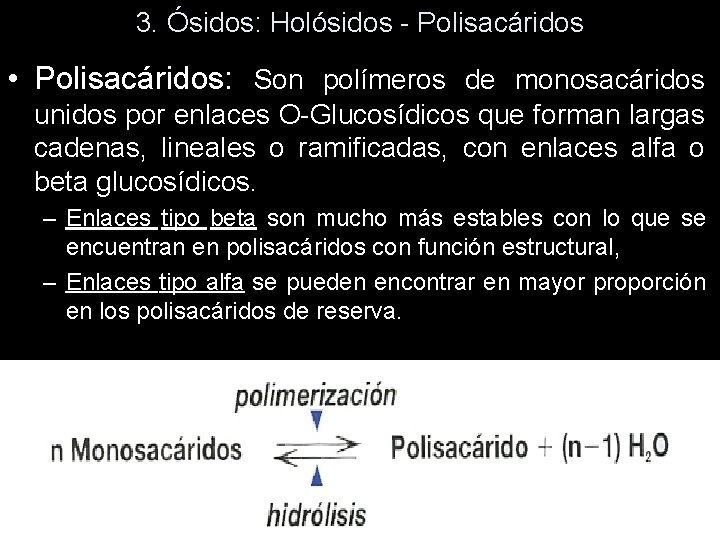 3. Ósidos: Holósidos - Polisacáridos • Polisacáridos: Son polímeros de monosacáridos unidos por enlaces 3. Ósidos: Holósidos - Polisacáridos • Polisacáridos: Son polímeros de monosacáridos unidos por enlaces