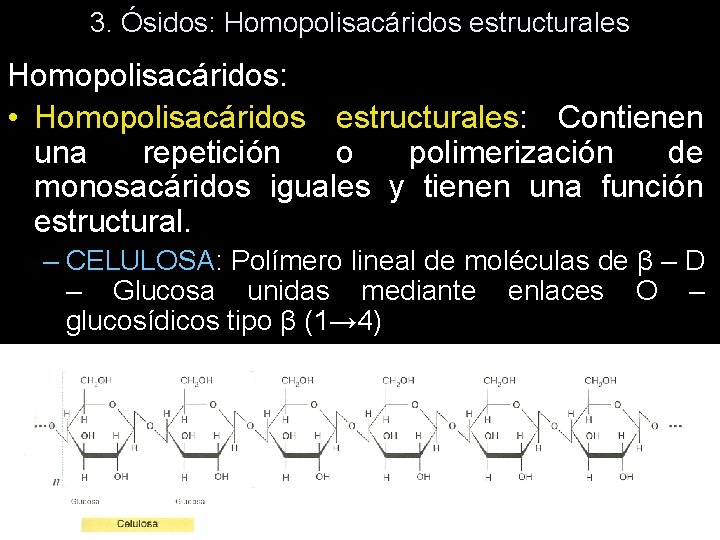 3. Ósidos: Homopolisacáridos estructurales Homopolisacáridos: • Homopolisacáridos estructurales: Contienen una repetición o polimerización de 3. Ósidos: Homopolisacáridos estructurales Homopolisacáridos: • Homopolisacáridos estructurales: Contienen una repetición o polimerización de