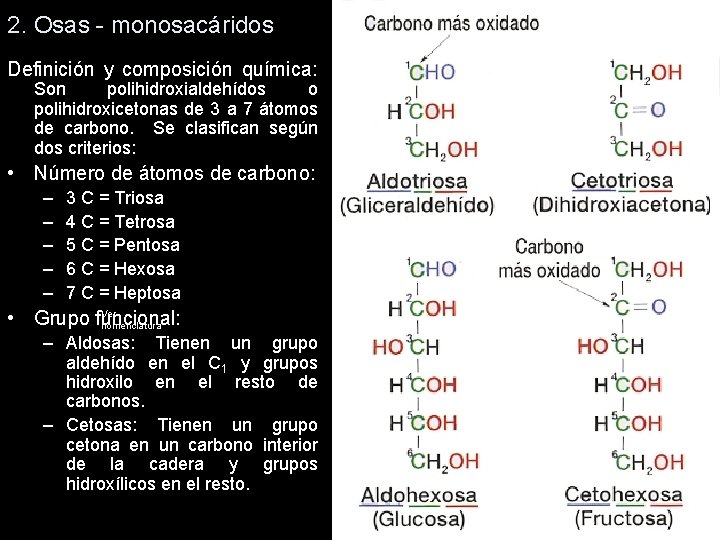 2. Osas - monosacáridos Definición y composición química: Son polihidroxialdehídos o polihidroxicetonas de 3 2. Osas - monosacáridos Definición y composición química: Son polihidroxialdehídos o polihidroxicetonas de 3