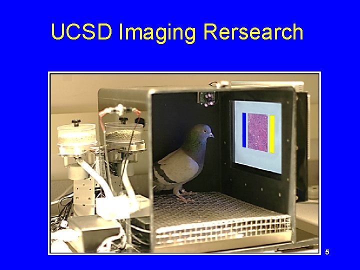 UCSD Imaging Rersearch 5 