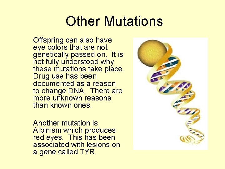 Other Mutations Offspring can also have eye colors that are not genetically passed on.