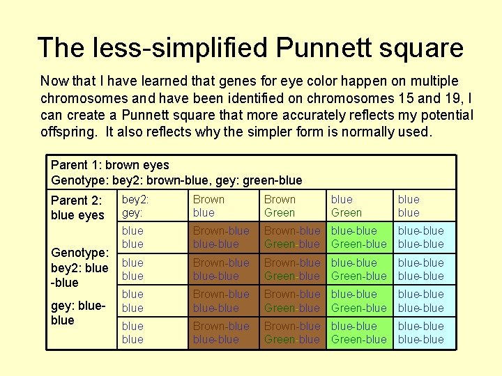 The less-simplified Punnett square Now that I have learned that genes for eye color