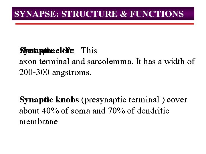 SYNAPSE: STRUCTURE & FUNCTIONS Synaptic the between spacecleft: the This axon terminal and sarcolemma.