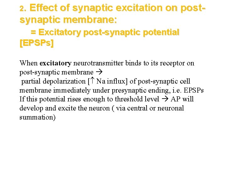 2. Effect of synaptic excitation on postsynaptic membrane: = Excitatory post-synaptic potential [EPSPs] When