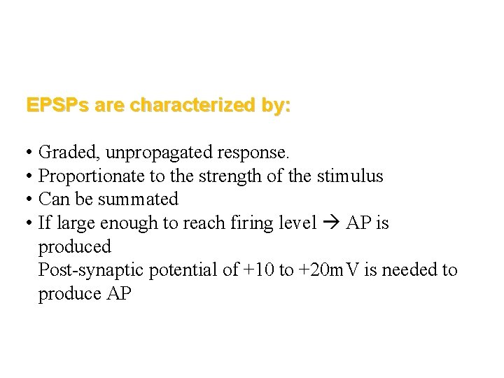 EPSPs are characterized by: • Graded, unpropagated response. • Proportionate to the strength of