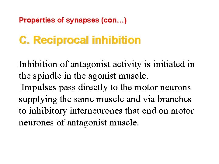 Properties of synapses (con…) C. Reciprocal inhibition Inhibition of antagonist activity is initiated in