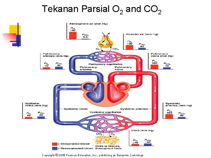 Tekanan Parsial O 2 and CO 2 Copyright © 2008 Pearson Education, Inc. ,