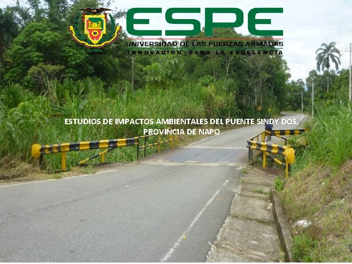 ESTUDIOS DE IMPACTOS AMBIENTALES DEL PUENTE SINDY DOS, PROVINCIA DE NAPO 