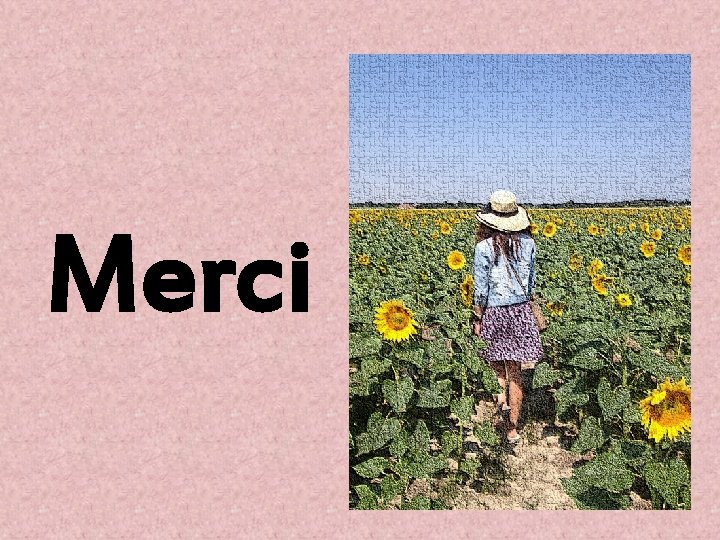 Merci 