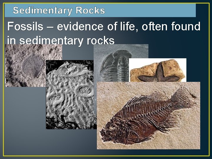 Sedimentary Rocks Fossils – evidence of life, often found in sedimentary rocks 