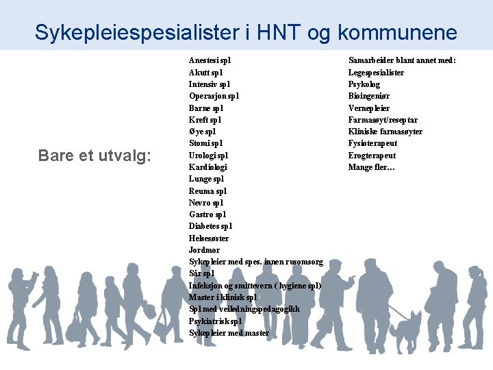 Sykepleiespesialister i HNT og kommunene Bare et utvalg: Anestesi spl Akutt spl Intensiv spl