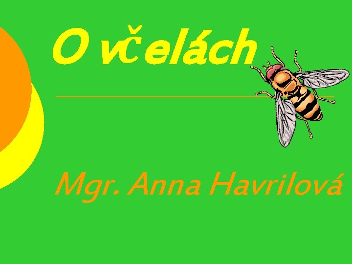 O včelách Mgr. Anna Havrilová 