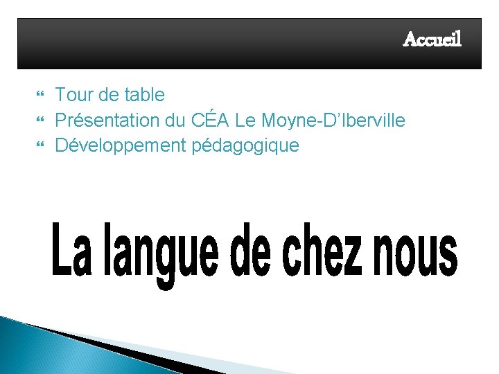 Accueil Tour de table Présentation du CÉA Le Moyne-D’Iberville Développement pédagogique 