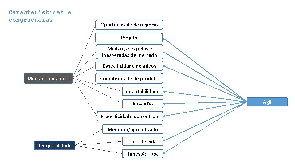 Características e congruências Oportunidade de negócio Projeto Mudanças rápidas e inesperadas de mercado Especificidade