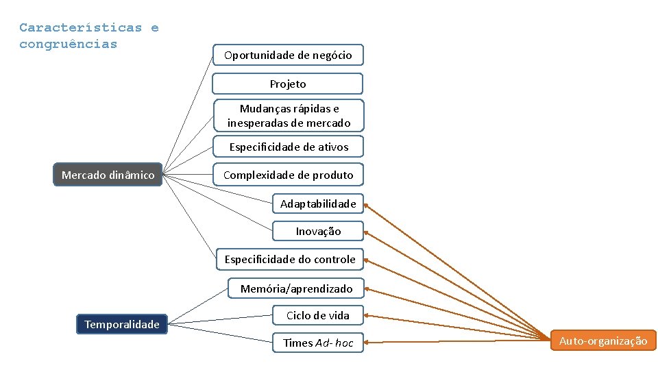 Características e congruências Oportunidade de negócio Projeto Mudanças rápidas e inesperadas de mercado Especificidade