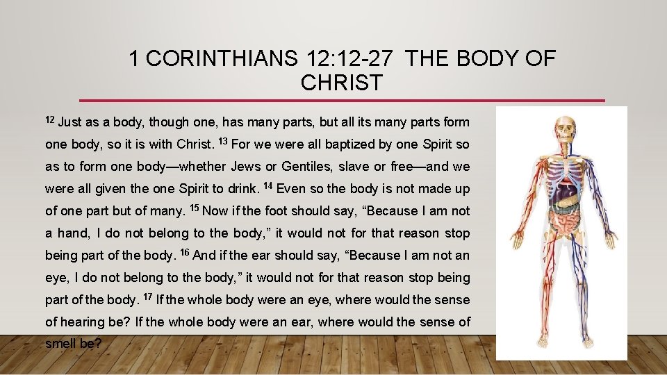 1 CORINTHIANS 12: 12 -27 THE BODY OF CHRIST 12 Just as a body,