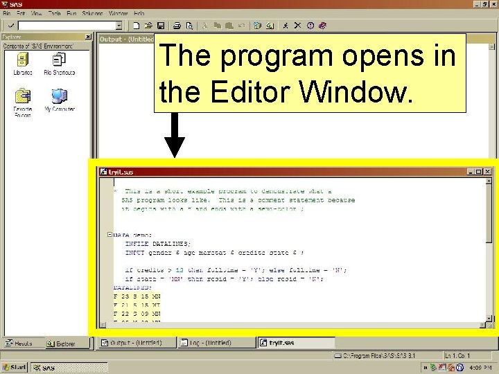 The program opens in the Editor Window. 