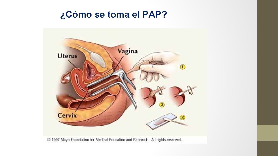 ¿Cómo se toma el PAP? 