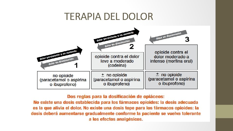 TERAPIA DEL DOLOR 