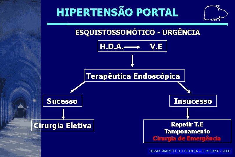 HIPERTENSÃO PORTAL ESQUISTOSSOMÓTICO - URGÊNCIA H. D. A. V. E Terapêutica Endoscópica Sucesso Cirurgia HIPERTENSÃO PORTAL ESQUISTOSSOMÓTICO - URGÊNCIA H. D. A. V. E Terapêutica Endoscópica Sucesso Cirurgia