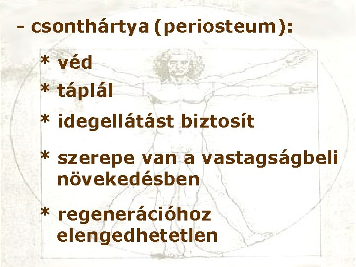 - csonthártya (periosteum): * véd * táplál * idegellátást biztosít * szerepe van a