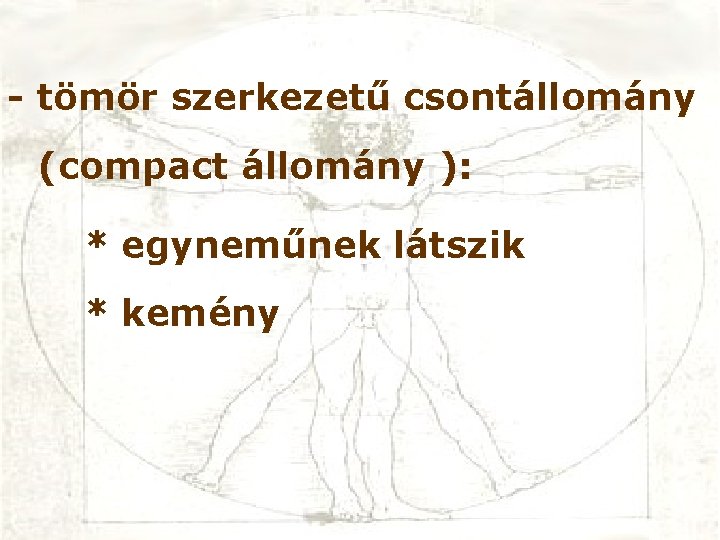 - tömör szerkezetű csontállomány (compact állomány ): * egyneműnek látszik * kemény 