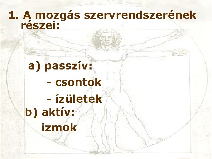 1. A mozgás szervrendszerének részei: a) passzív: - csontok - ízületek b) aktív: izmok