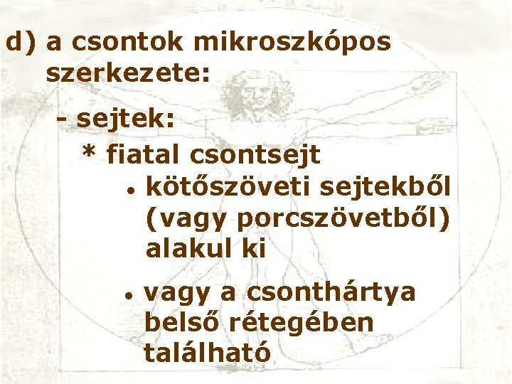 d) a csontok mikroszkópos szerkezete: - sejtek: * fiatal csontsejt • kötőszöveti sejtekből (vagy