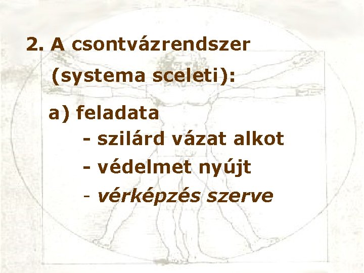 2. A csontvázrendszer (systema sceleti): a) feladata - szilárd vázat alkot - védelmet nyújt