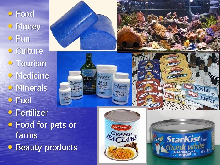 • Food • Money • Fun • Culture • Tourism • Medicine • • Food • Money • Fun • Culture • Tourism • Medicine •