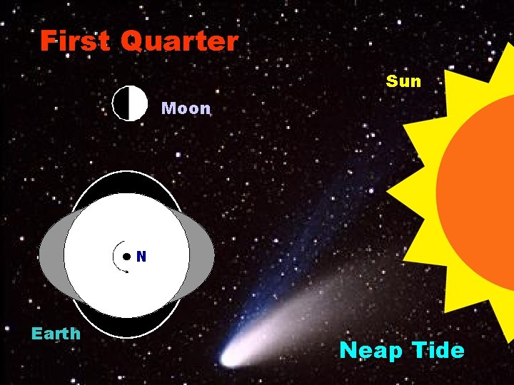 First Quarter Sun Moon N N Earth Neap Tide 