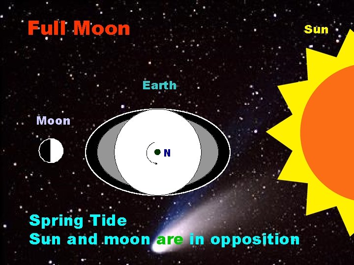 Full Moon Sun Earth Moon N Spring Tide Sun and moon are in opposition