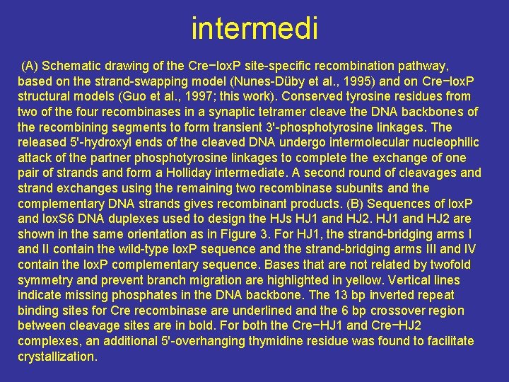 intermedi (A) Schematic drawing of the Cre−lox. P site-specific recombination pathway, based on the