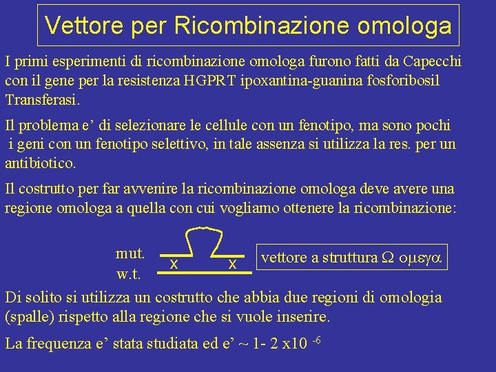 Vettore per Ricombinazione omologa I primi esperimenti di ricombinazione omologa furono fatti da Capecchi