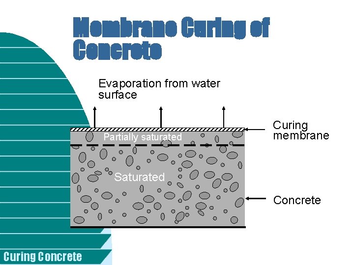 Membrane Curing of Concrete Evaporation from water surface Partially saturated Curing membrane Saturated Concrete