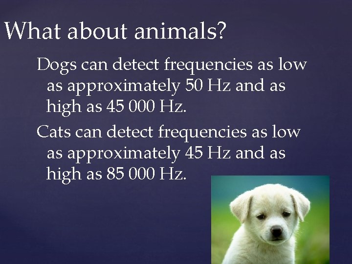 What about animals? Dogs can detect frequencies as low as approximately 50 Hz and