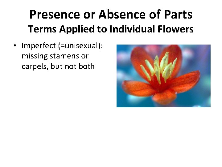 Presence or Absence of Parts Terms Applied to Individual Flowers • Imperfect (=unisexual): missing