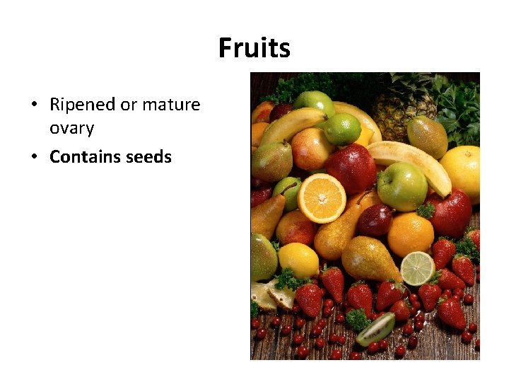 Fruits • Ripened or mature ovary • Contains seeds 