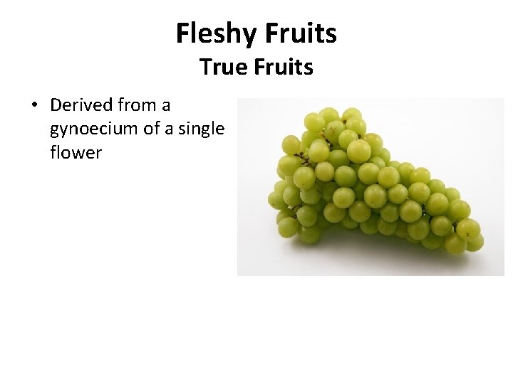Fleshy Fruits True Fruits • Derived from a gynoecium of a single flower 