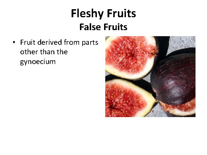 Fleshy Fruits False Fruits • Fruit derived from parts other than the gynoecium 