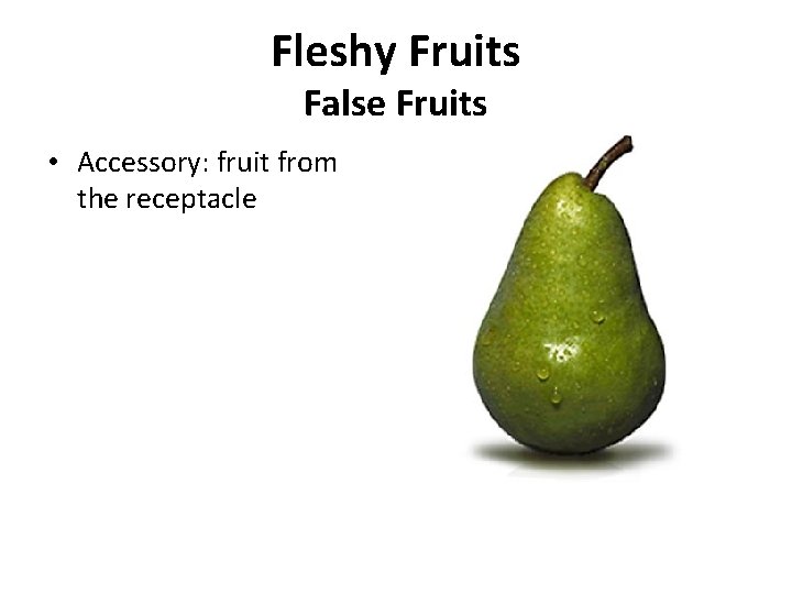 Fleshy Fruits False Fruits • Accessory: fruit from the receptacle 