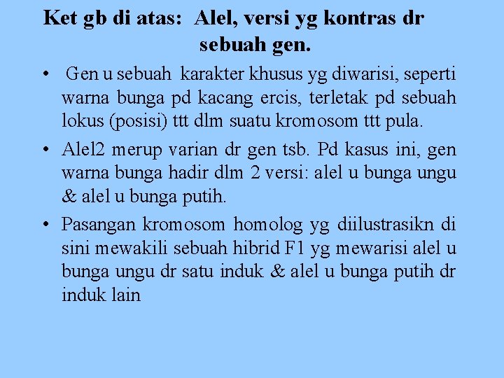 Ket gb di atas: Alel, versi yg kontras dr sebuah gen. • Gen u