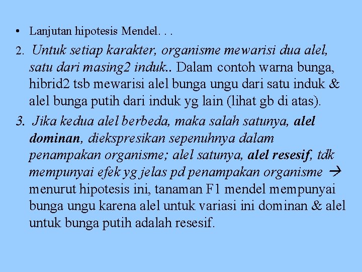  • Lanjutan hipotesis Mendel. . . 2. Untuk setiap karakter, organisme mewarisi dua