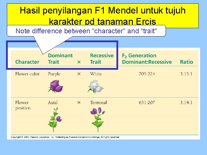 Hasil penyilangan F 1 Mendel untuk tujuh karakter pd tanaman Ercis Note difference between